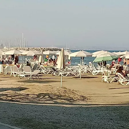 Near The * Larnaca